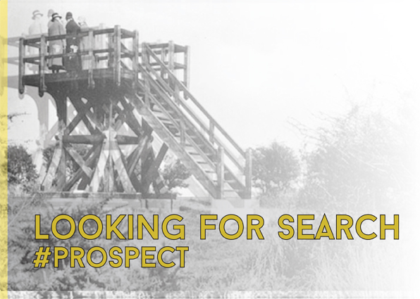 Looking for Search Prospect